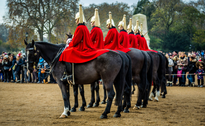 Developers: When being a one-trick pony is of the utmost value